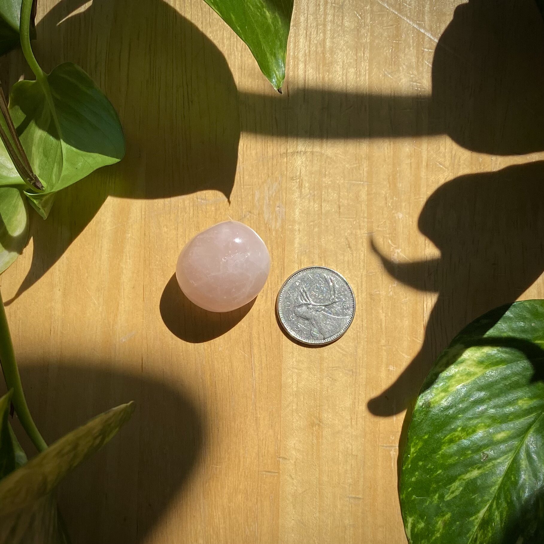 Rose Quartz Tumbled - Image 2