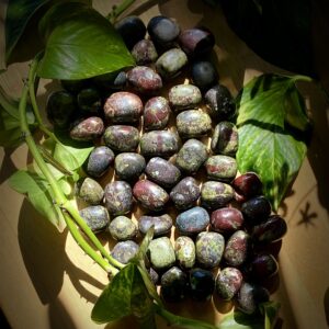 Dragon Blood Stone Tumbled